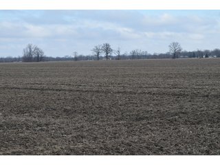 Property photo 16 - 173 +/- Acres Offered in 3 Tracts - Ohio Farmland